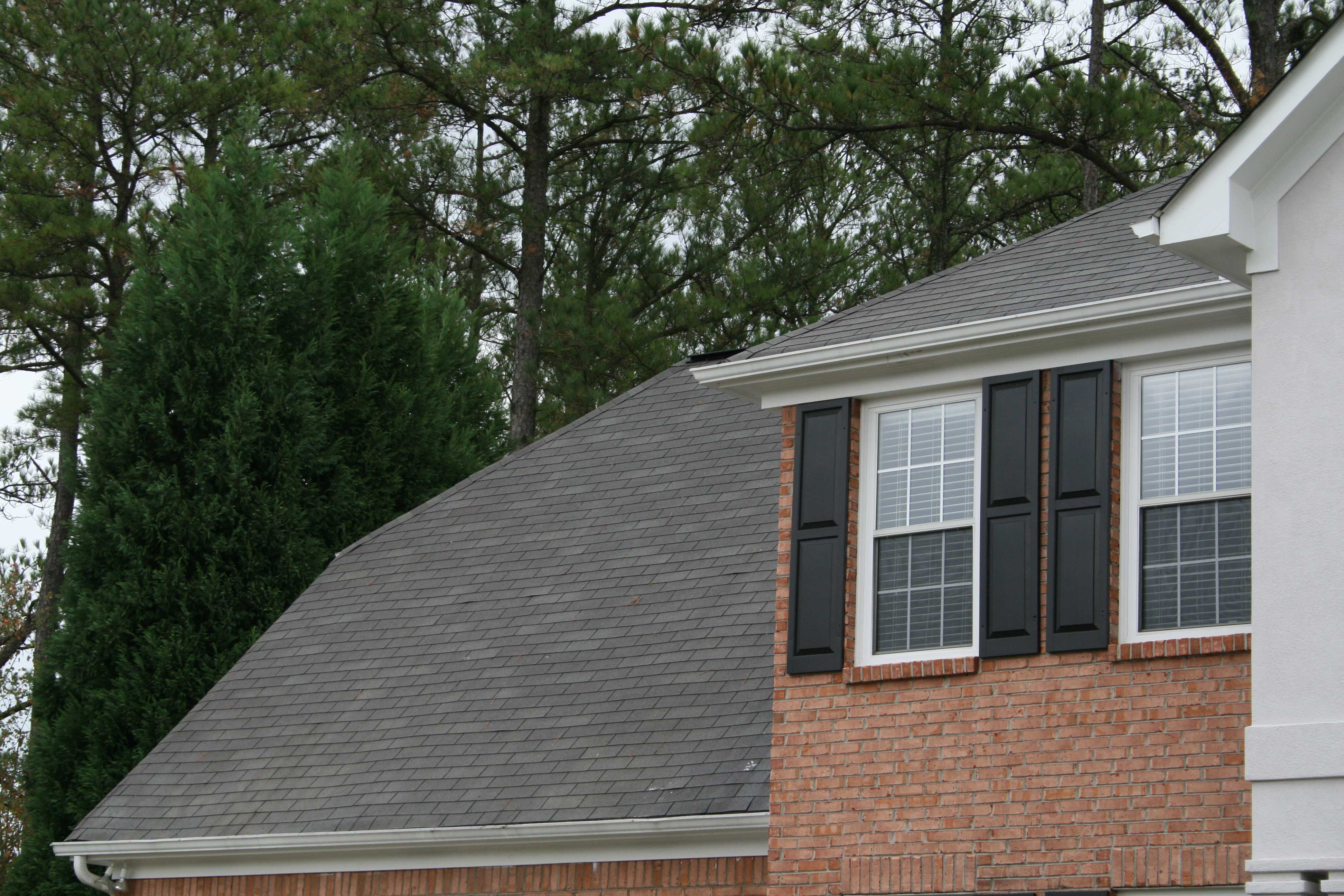 Roof Cleaning